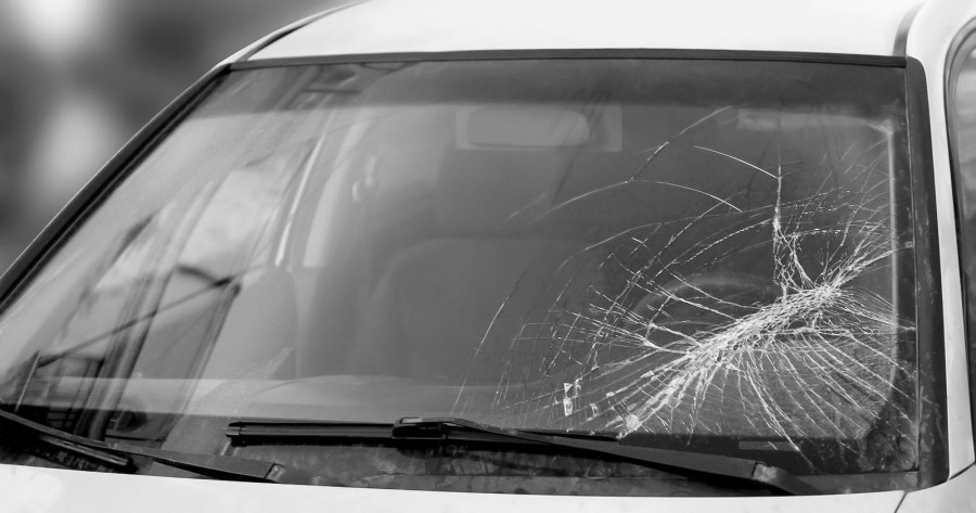 AdobeStock_51154930-1600x1600_edited